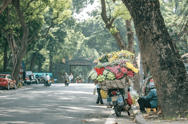 Autumn is regarded as the best season in Hanoi