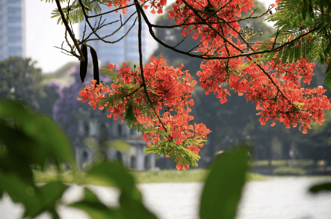 Summer in Hanoi can be swelteringly hot