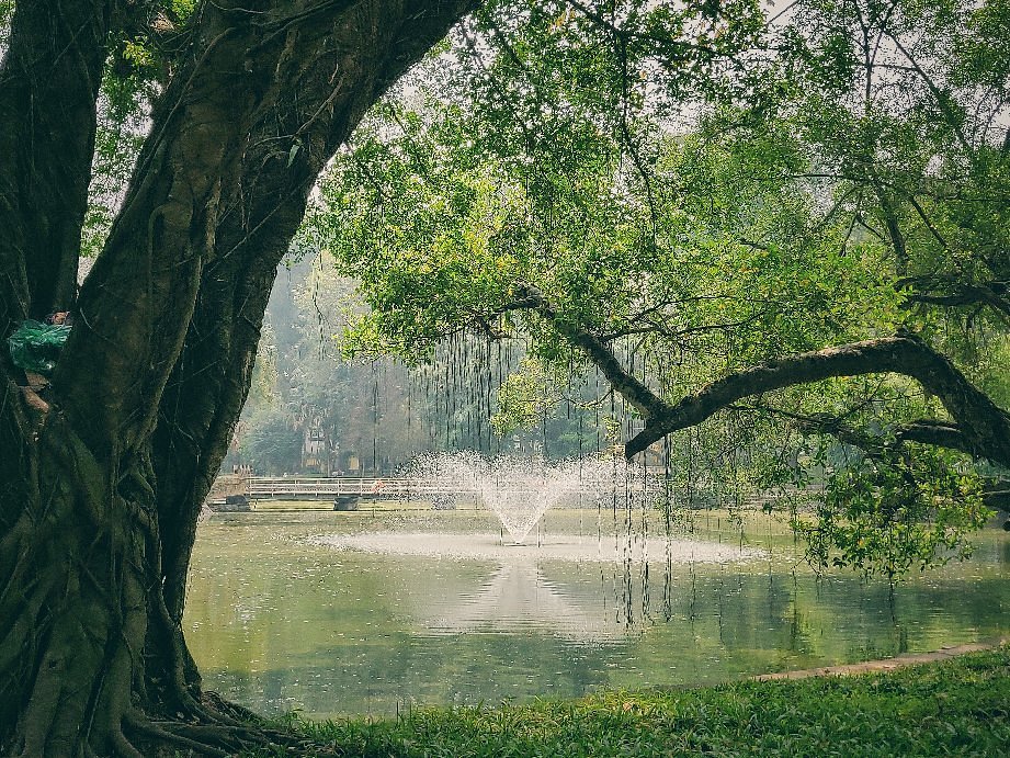 Bach Thao Park (Hanoi Botanical Garden)- a perfect location for all nature lovers