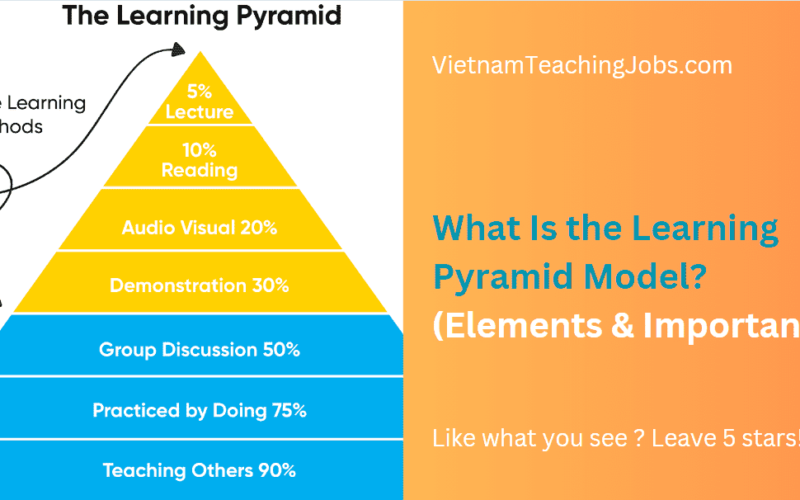 What Is the Learning Pyramid Model? (Elements & Importance)