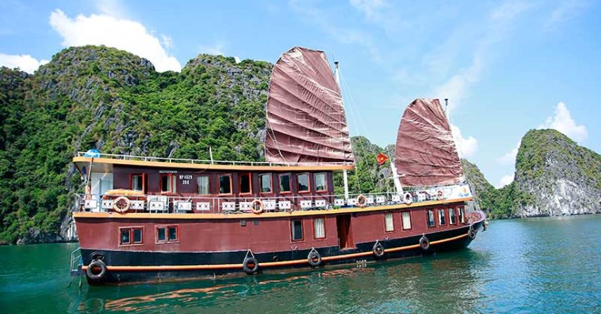 Exploring Cat Ba National Park via a boat cruise is a must-experience 