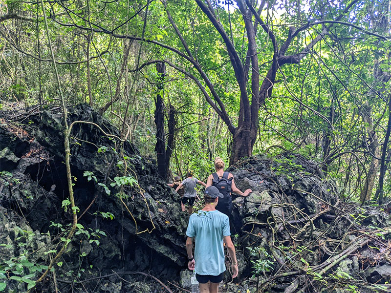 Hiking is the best way to discover Cat Ba National Park