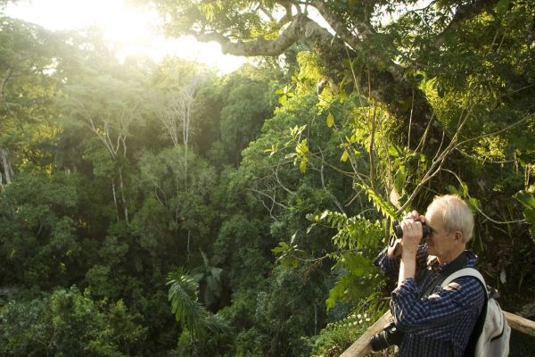 Cuc Phuong National Park offers stunning landscapes, ancient trees, and unique wildlife, making it a paradise for nature photographers.