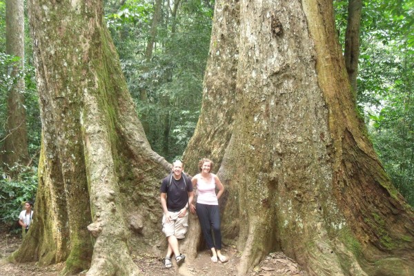 Dang ancient tree: This tree has a lengthy history and attracts attention with its impressive appearance. 