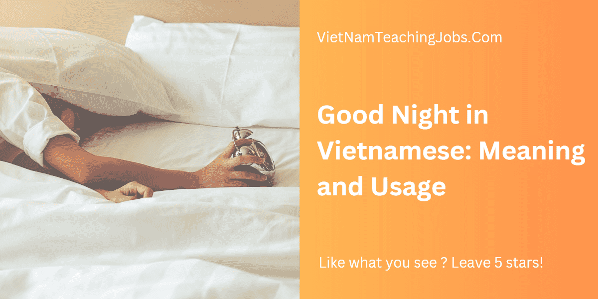 Good Night in Vietnamese cover MIN